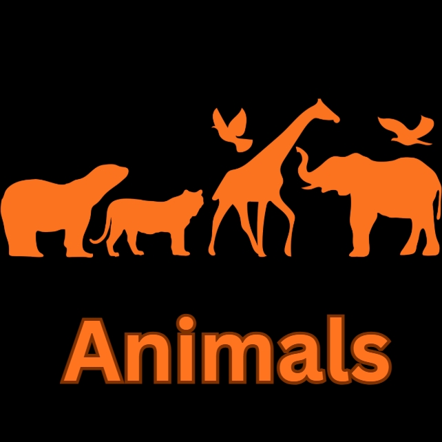 Animals