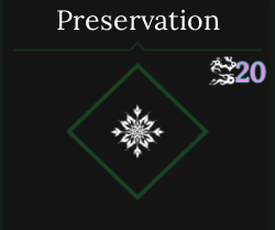 Preservation Frost Skill from Abolvement Roblox Experience