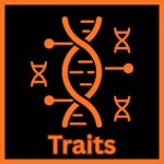 Traits