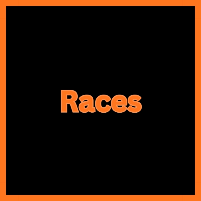 Races in Broken Blade Roblox Experience