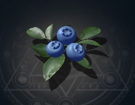 The Blueberry Material from Wizard Alchemy Roblox Experience
