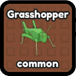 Grasshopper Bug in Catch Bugs Wiki on Roblox