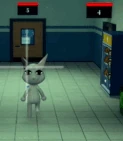 Head looking at camera anomaly in animal hospital