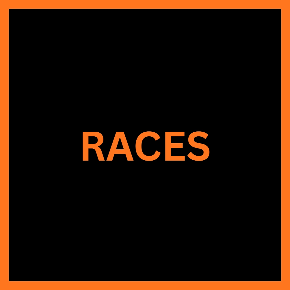 Races in Iron Soul: Dungeon Roblox Experience