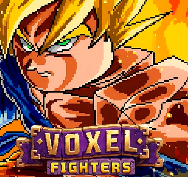 Voxel Fighters